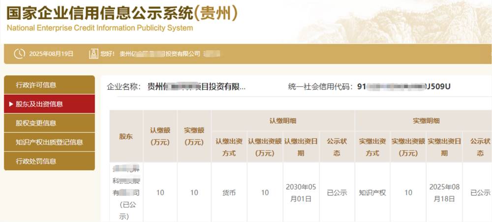 贵州某项目投资公司10万知识产权实缴案例