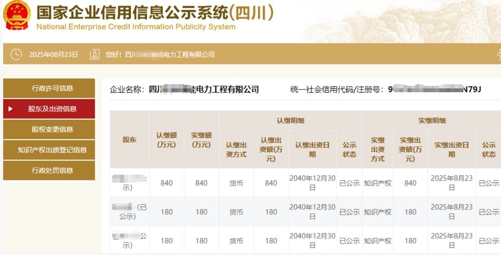 四川某电力工程公司1200万知识产权实缴案例
