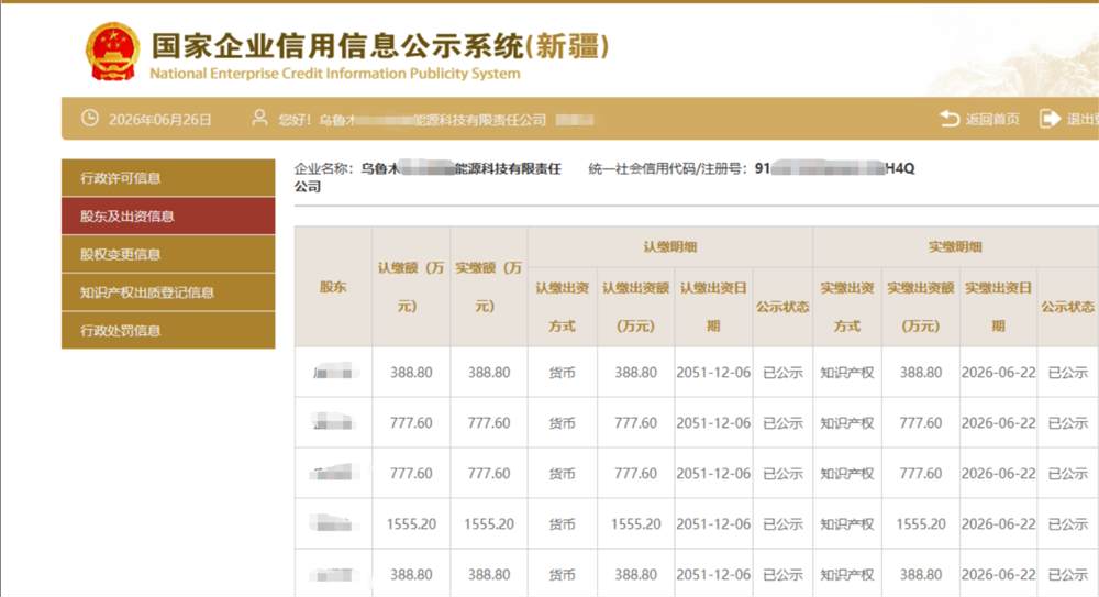 新疆某能源科技公司3888万知识产权实缴案例