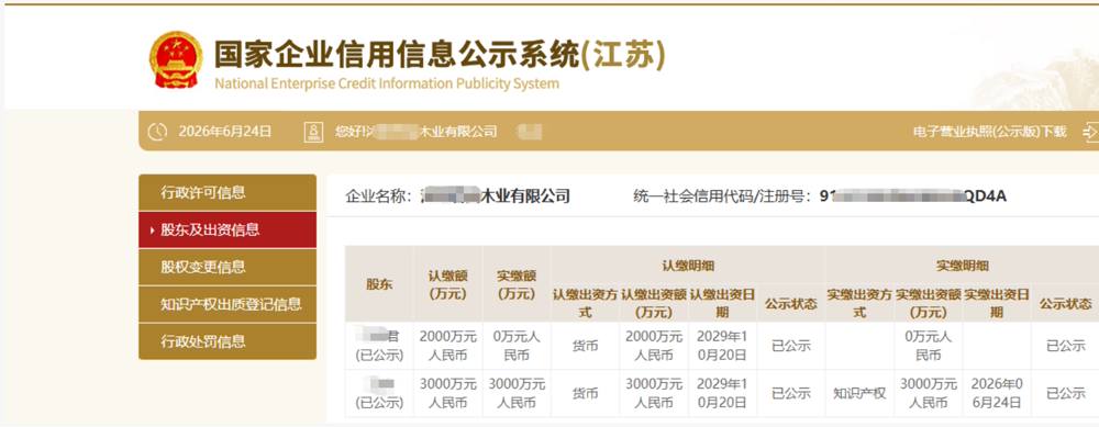 江苏某木业公司5000万知识产权实缴案例