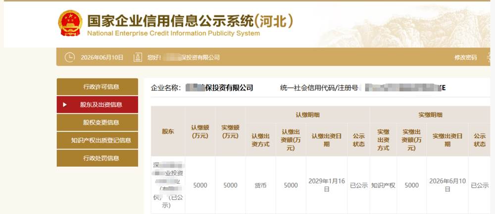 河北某环保投资公司5000万知识产权实缴案例