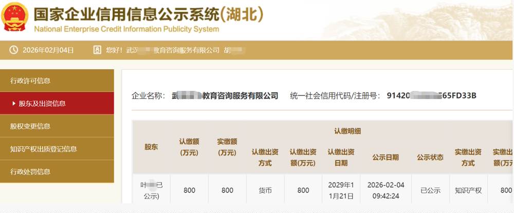 湖北某教育咨询公司800万知识产权实缴案例