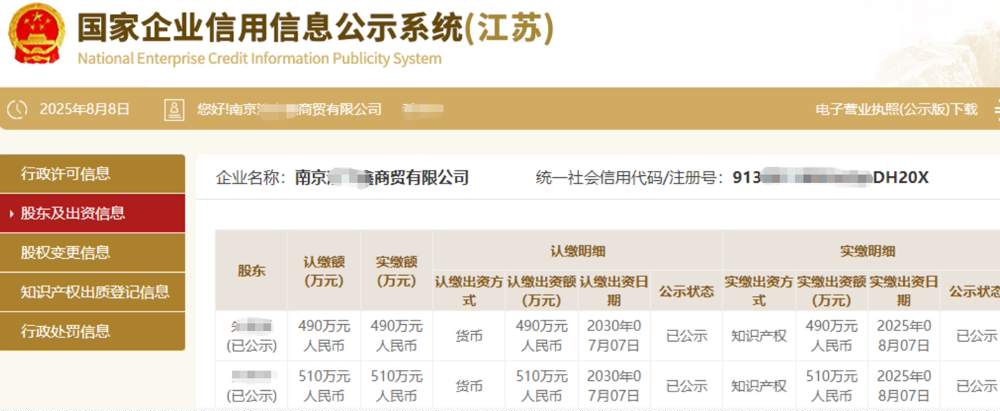 江苏某商贸公司1000万知识产权实缴案例